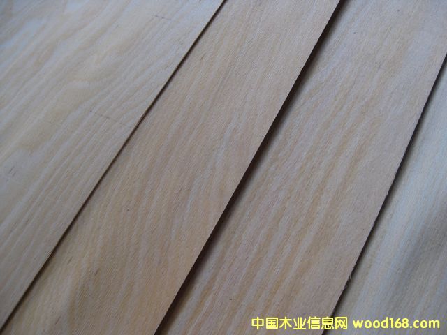 ��ľľƤ��Ԕ��(x��)��B