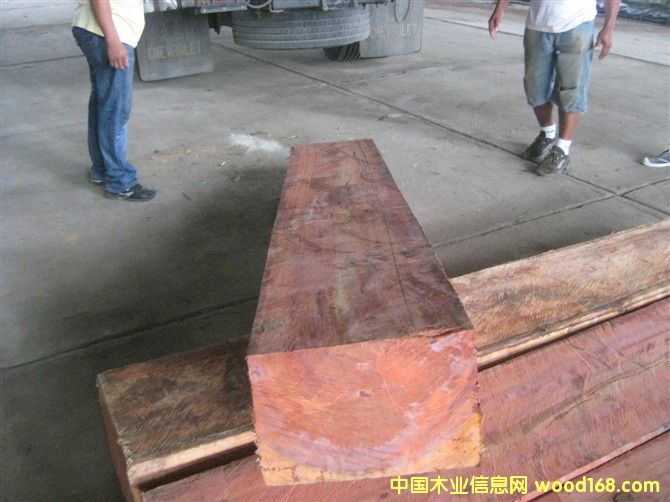 �����ް���֦��Ԕ��(x��)��B