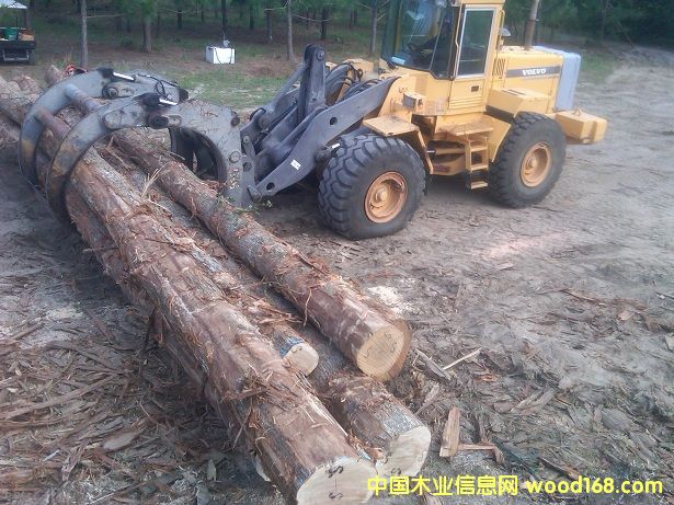 �����Ԕ����B