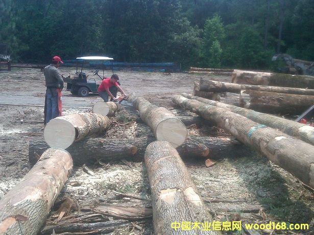 ������Ԕ����B