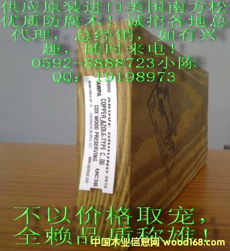 ����ľ��Ԕ����B