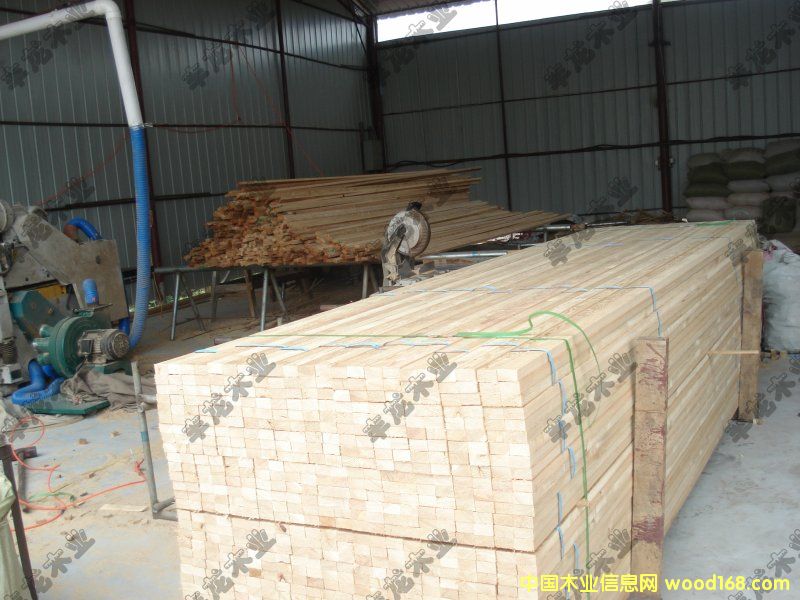 ������ɵ�����