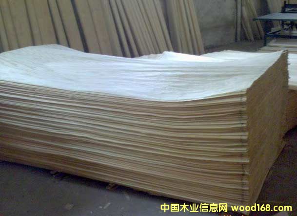 ��������Ƥ5��Ԕ����B