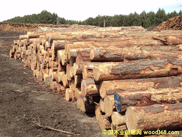 �����mݗ����ԭľ��Ԕ����B