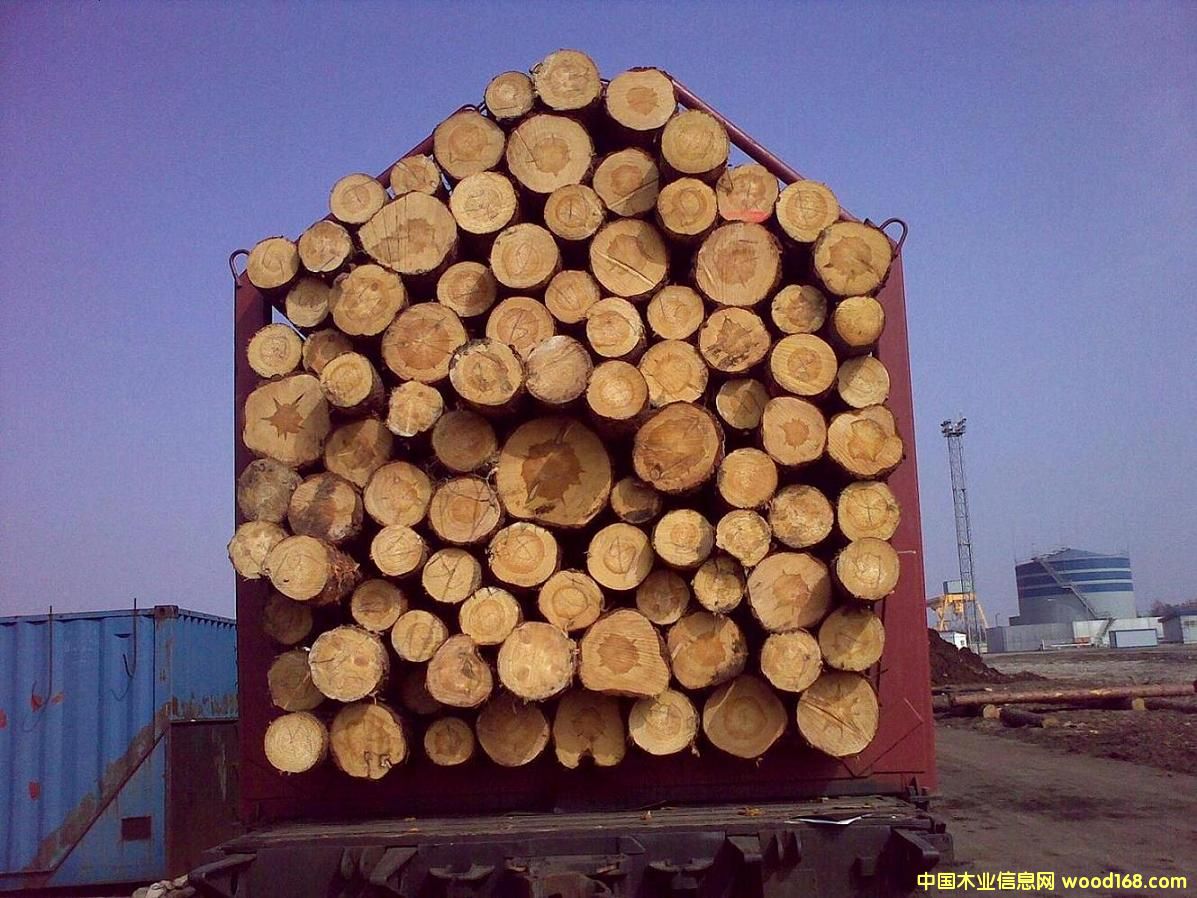 �����m������ԭľ��Ԕ����B