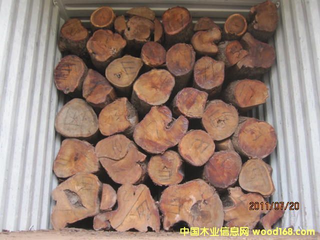 �����棨���ȁ�����Ԕ��(x��)��B