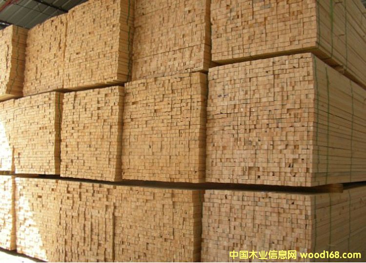 ���~�ɺ�ɵ�����