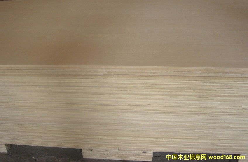 ��ľ�z�ϰ�