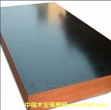 ��ľо����Ĥ��