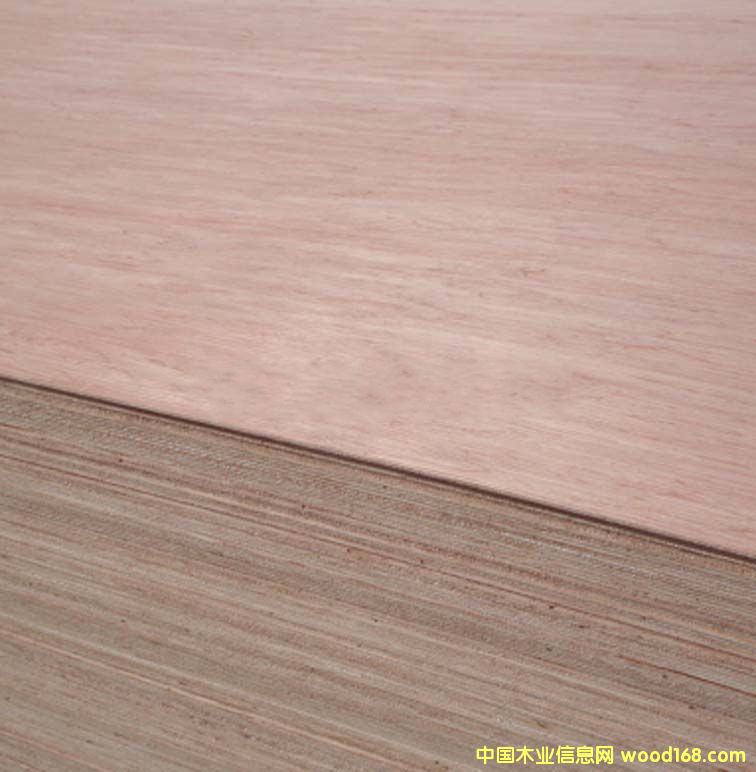 �U�P���z�ϰ�