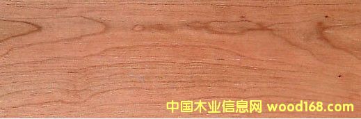 �c���鿴����ľ Cherry�Ŵ�DƬ