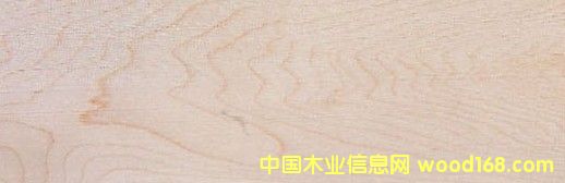 �c���鿴Ӳ�� Hard Maple�Ŵ�DƬ