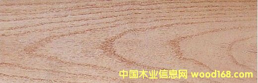 �c���鿴�t�� Red Oak�Ŵ�DƬ