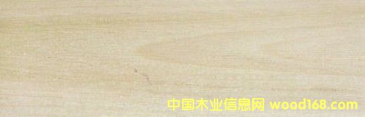 �c���鿴�����S�� Yellow Poplar�Ŵ�DƬ