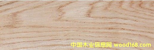 �c���鿴���� White Oak�Ŵ�DƬ