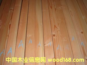 �����ɟo��(ji��)���Ԕ��(x��)��B