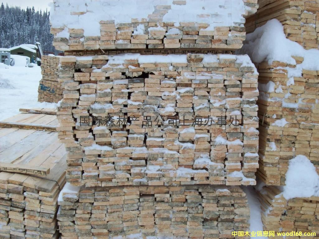 ����(y��ng)����SPF���