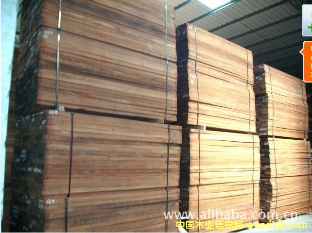 ��������ɳ������ģ���ˇƷ�ġ�ľ�T��