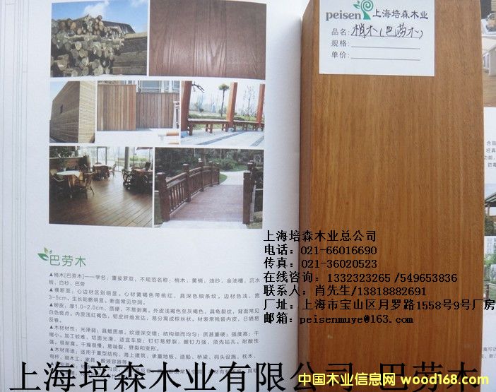 �̈́�ľ��1��Ԕ����B