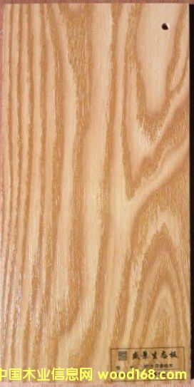 �����谷���n�������Ԕ��(x��)��B