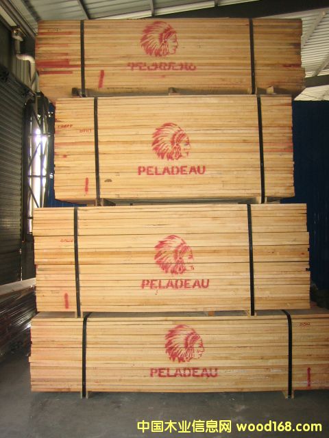 硬楓的詳細介紹