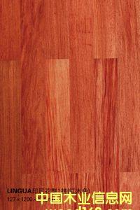 Linguaӡ�Ứ��1ƴ���tľɫ��