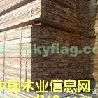 ��ľ����Ԕ����B