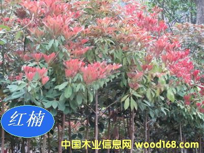 [��] ���ľN�磨�}骡��E骡�С�~骡���骡��ٻ�骡��t骣�