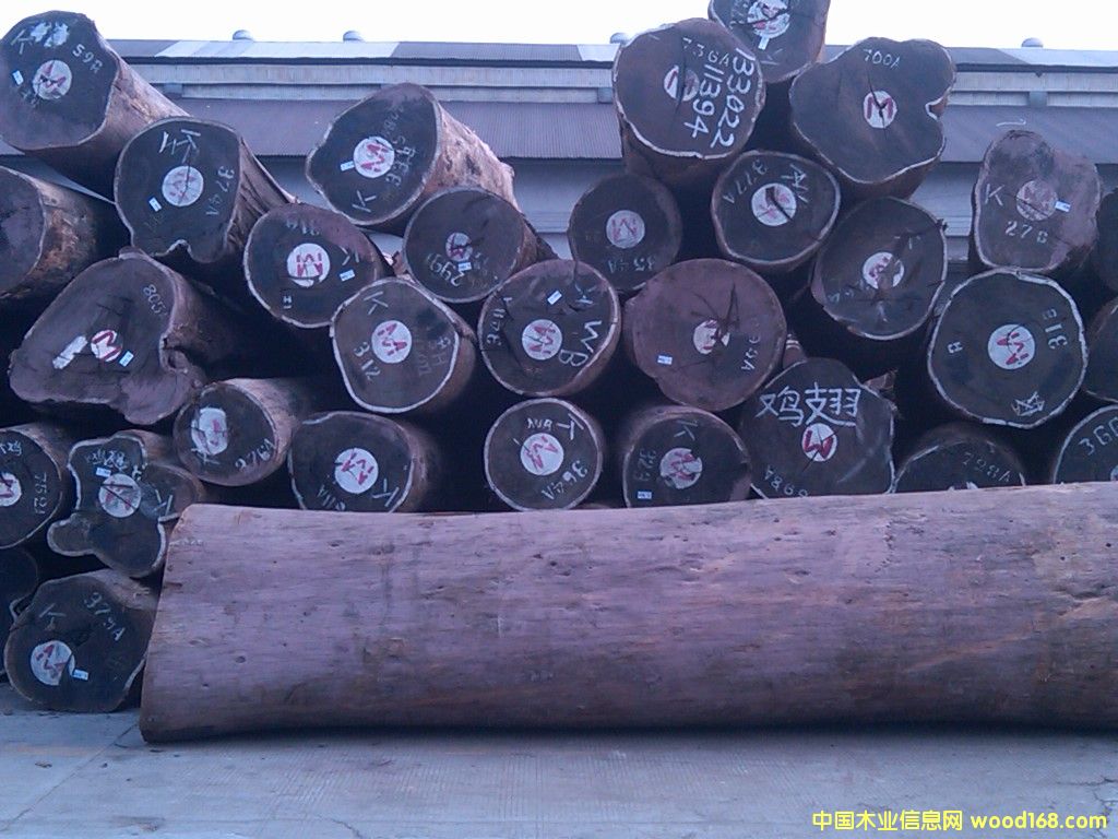 雞翅的詳細介紹