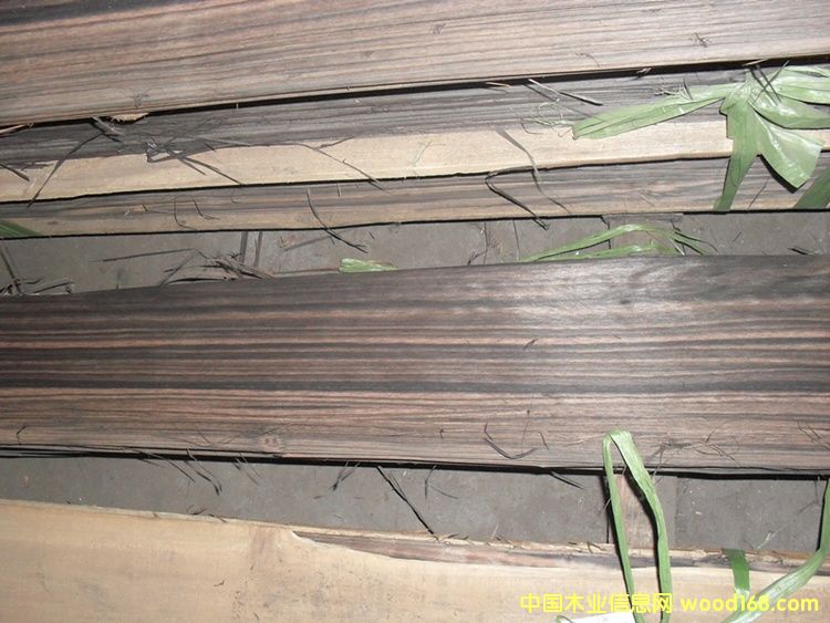 ��̴A��Ƥ��Ԕ����B