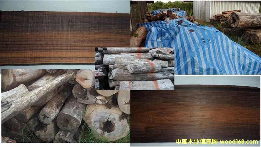 ����- �ϓ���̴ԭľ��Ԕ����B