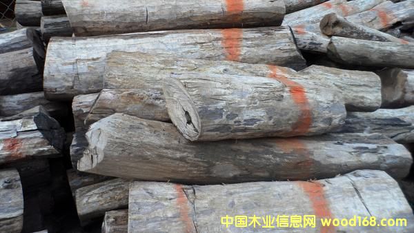 ����- �ϓ���̴ԭľ��Ԕ����B