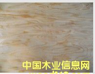 ��Ƥ���a��Ԕ����B