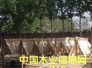 ��Ƥ�S�ҵ�Ԕ����B