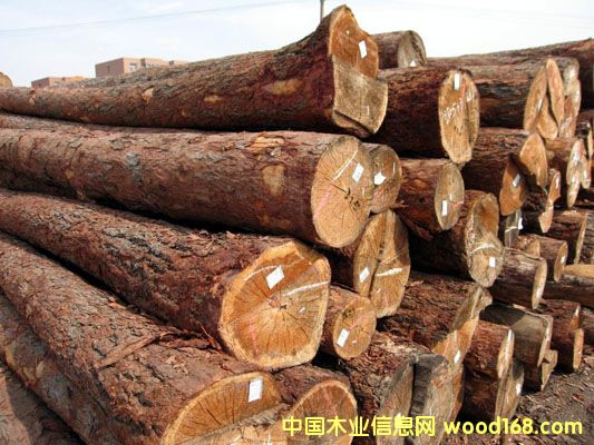 ԭľ��Ԕ����B