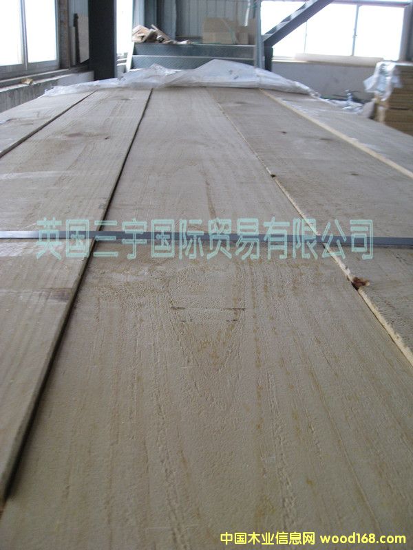 ���| ݗ����ľ���