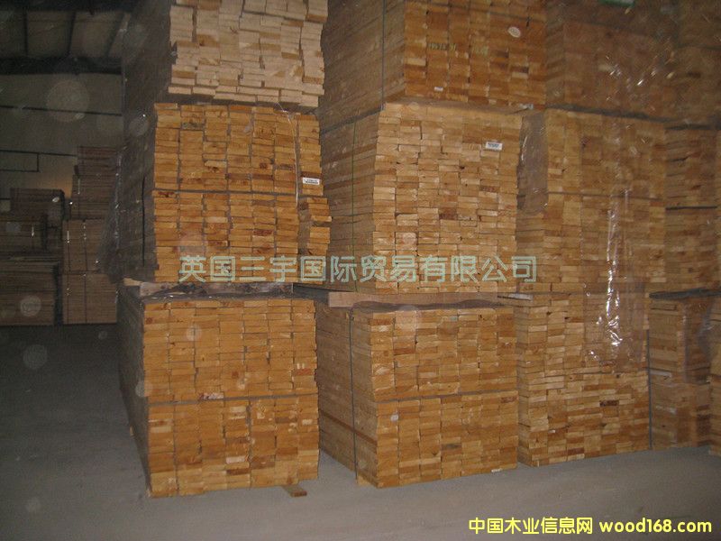 ����ݗ����