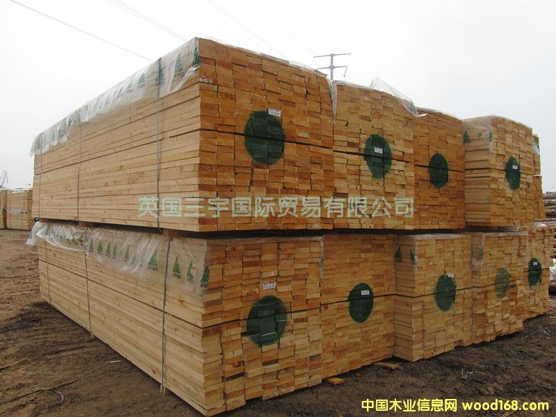 ���|����ݗ����ľ�ٹ���