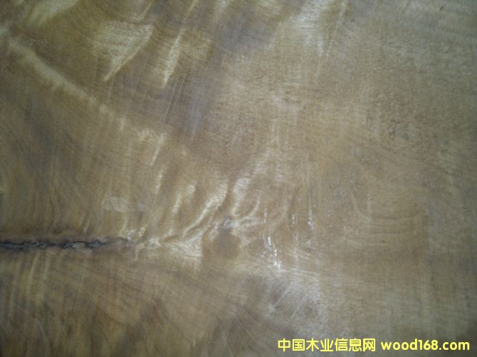 С�~�E骣���z�ľ��