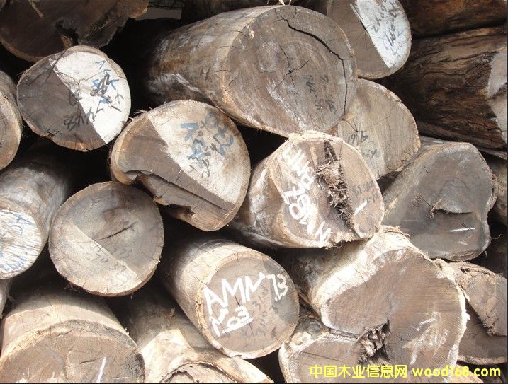 �u��ľ��Ԕ����B