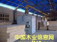 ��ľ�����Ԕ����B