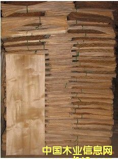 ��ľ�ΰ��Ԕ����B