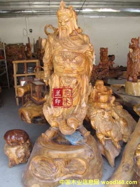 ��������ľ��Ԕ����B