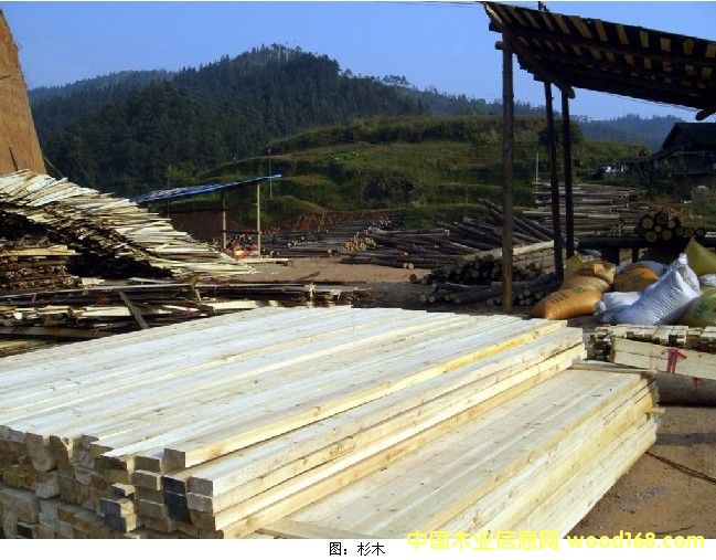 ���l�������l����ľ����Ԕ����B