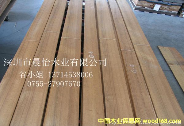 ������ľ��Ԕ����B