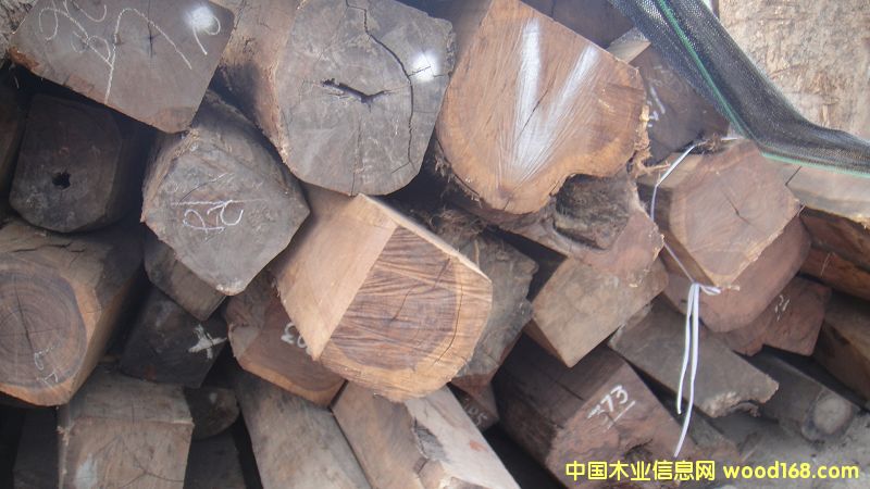 ���޻�֦��Ԕ��(x��)��B