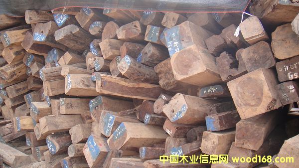 �ϓ�t��֦��Ԕ��(x��)��B