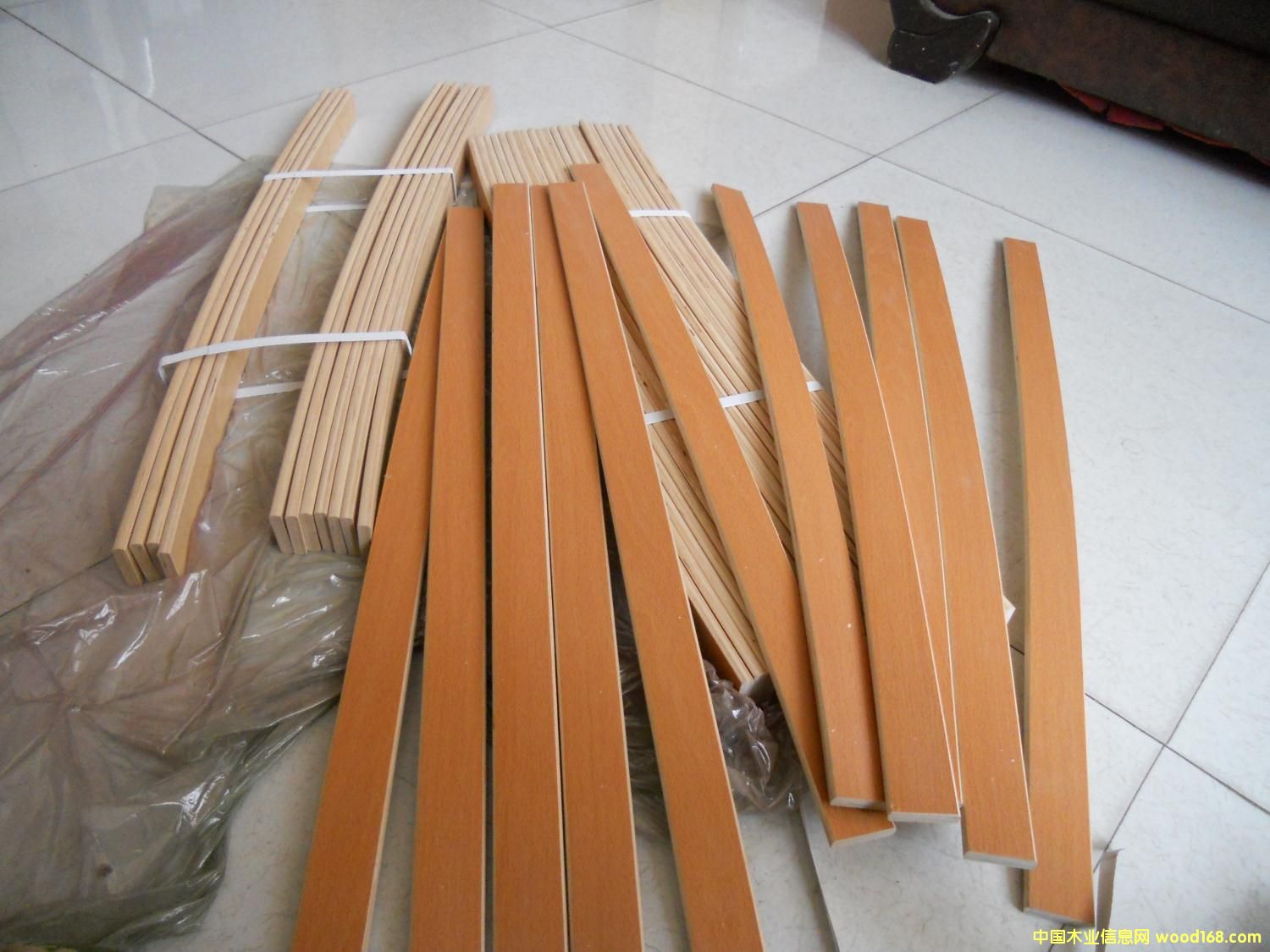 ����l �ŹǗl��Ԕ��(x��)��B