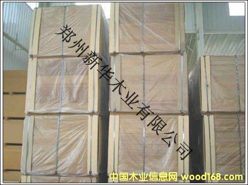 ���|���ܶ��w�S���Ԕ����B