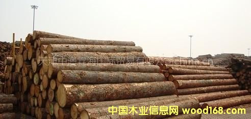 �������l���|���ɿ��ϵ�